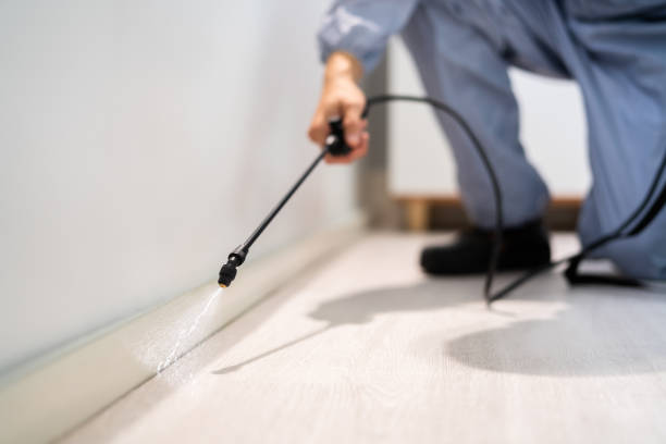 Licensed Fumigation Services service in Bartow County County, GA - Nex Pest Control